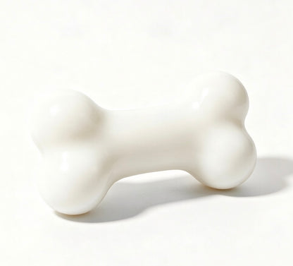 Squeaky Bone Dog Toy